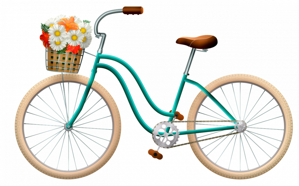 Cykelkorg som gör vardagen enklare  guide till rätt val